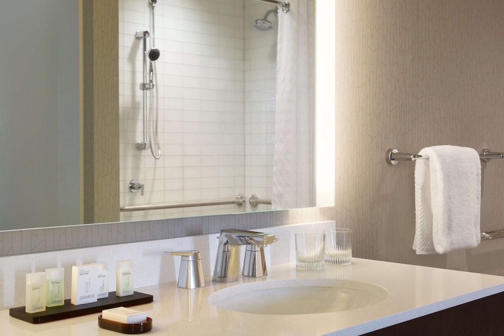 Embassy Suites by Hilton The Woodlands at Hughes Landing - Property Image 11