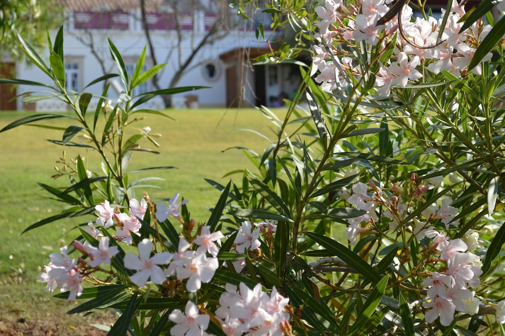 Quinta da Mesquita
