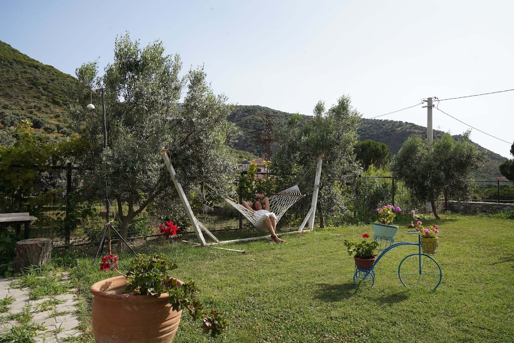 Photo 40