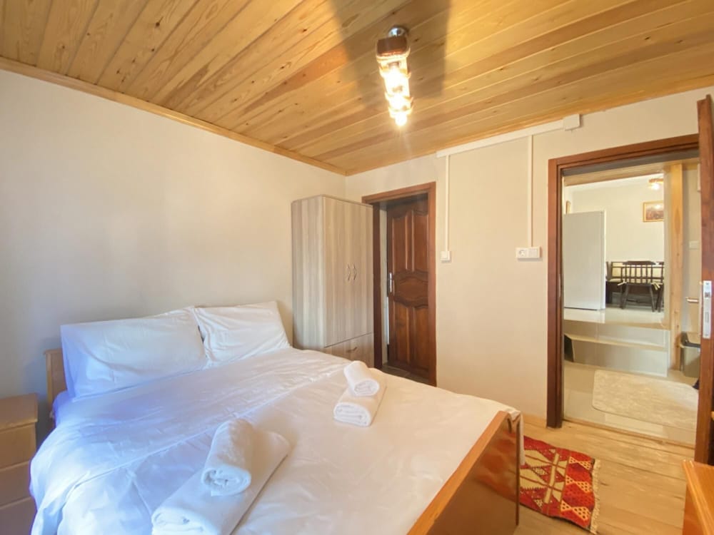 Historical Duplex Villa With Patio in Beyoglu