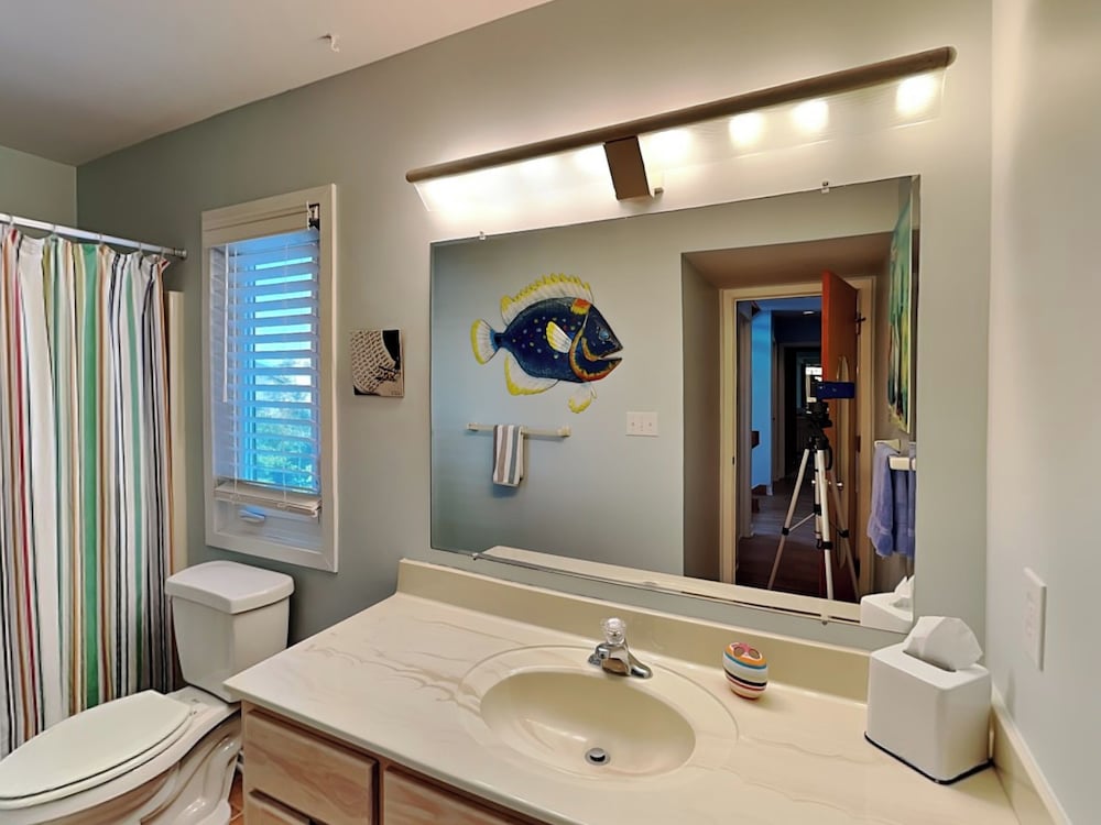 The Shell Collector by Topsail Realty