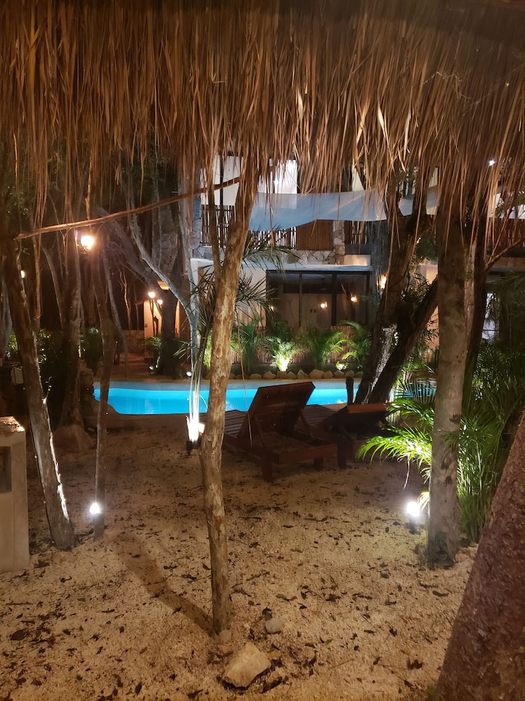 Photo 18
