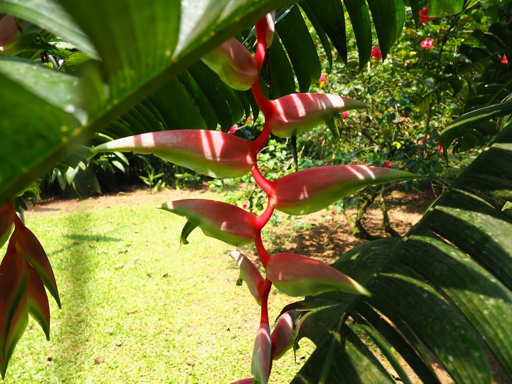 La Finca Chica