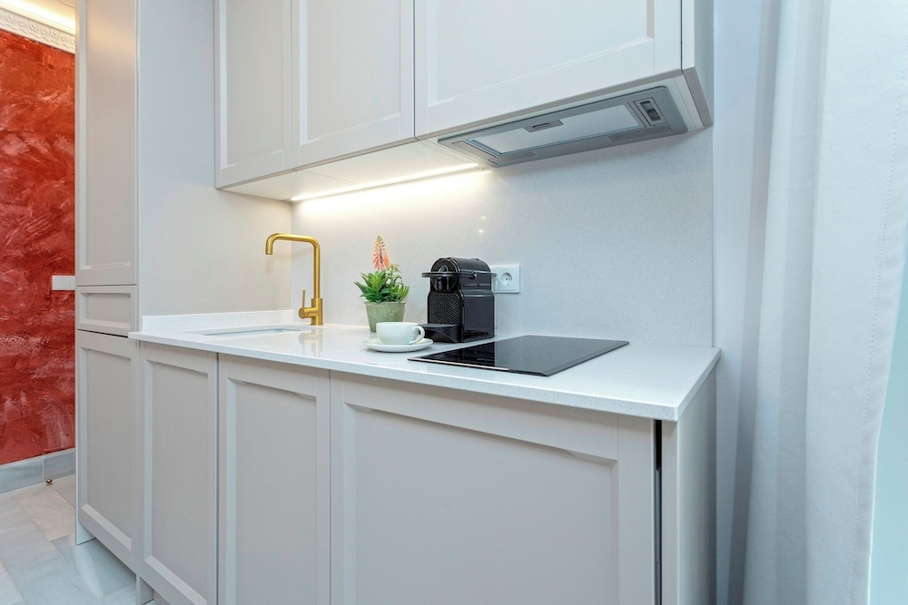 Exclusive Apartment in Seville.plaza del Museo 001