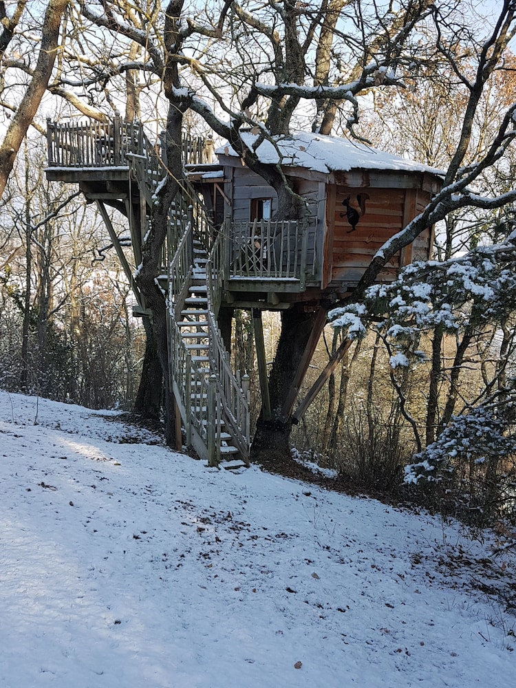 Arbrakabane - Property Image 15