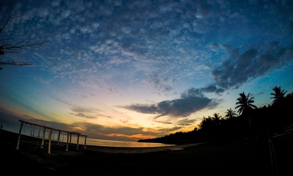 Palm Beach Resort & Spa photo 8