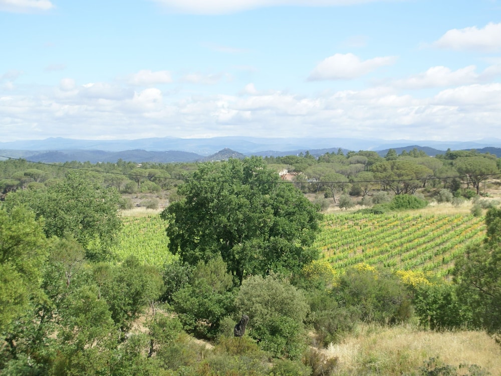 State of the Art Fixtures Villa in Vidauban With Pool view 5