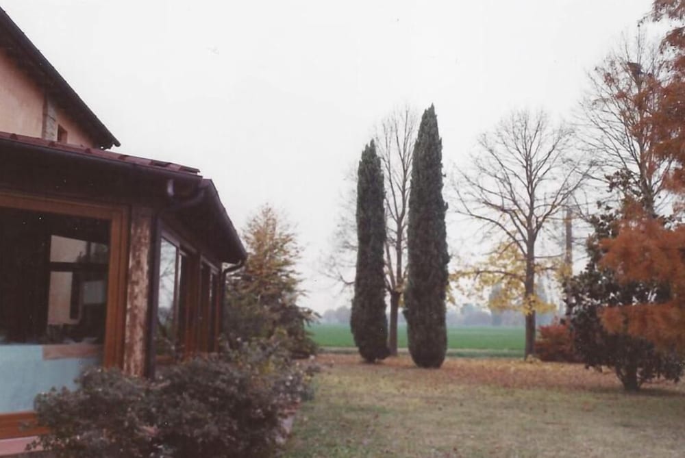 Alla Cedrara agriturismo photo 4