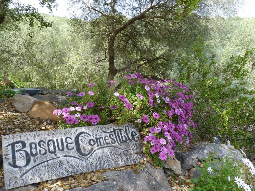 Agroturismo Can Torna AG178