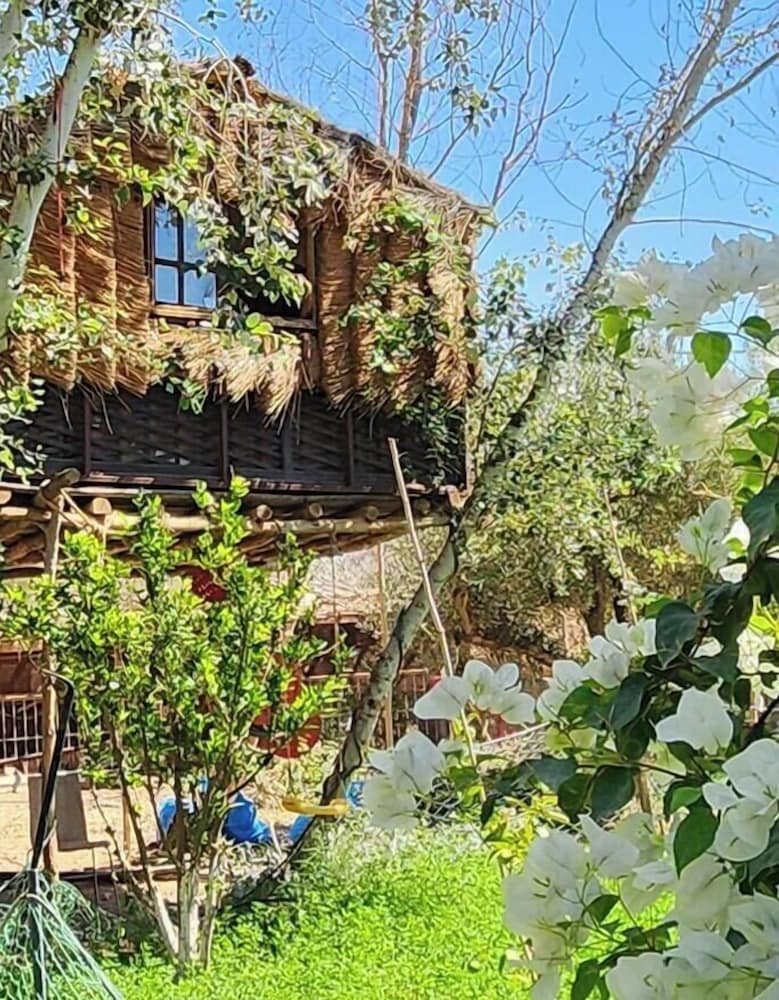 Riad salix agafay