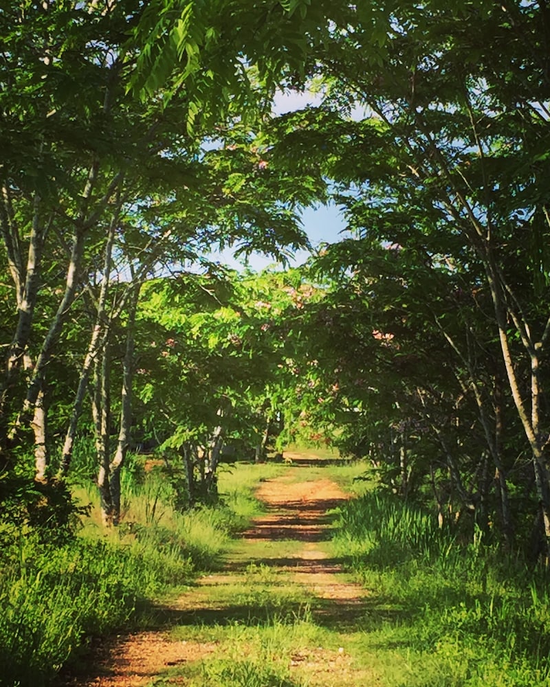 Khaoyai Nature Retreat