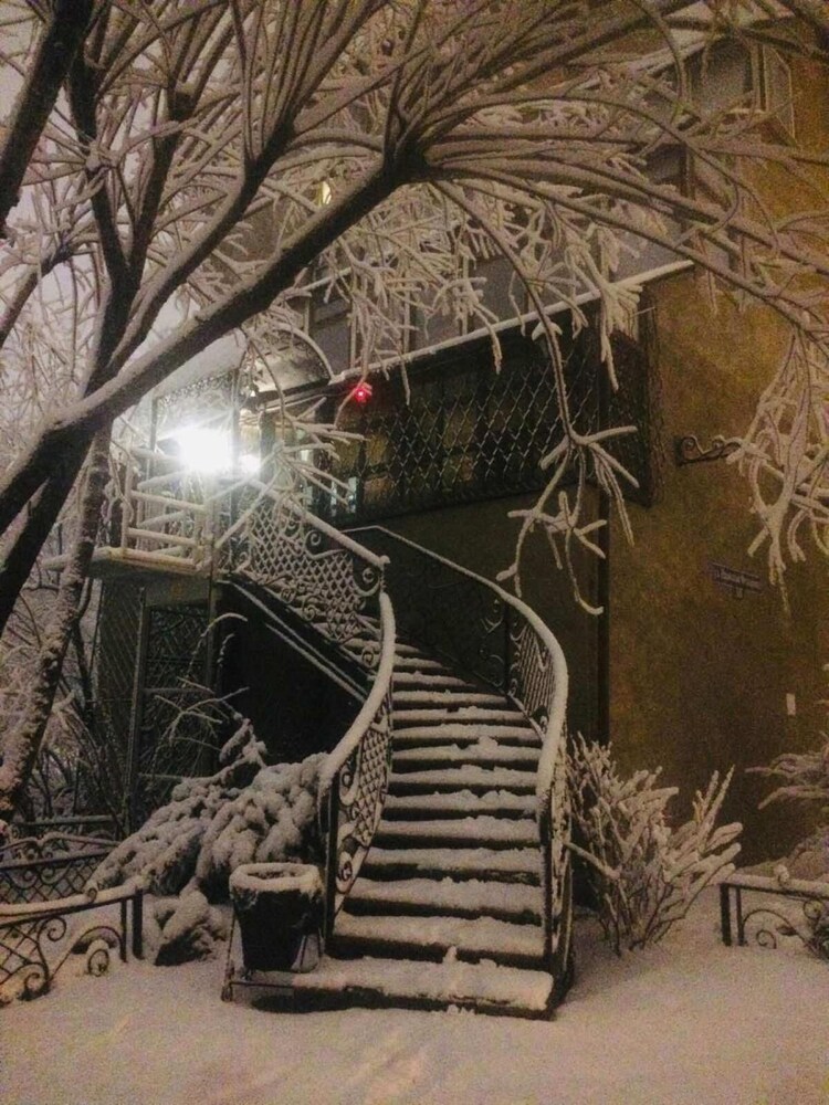 Hostel Green City
