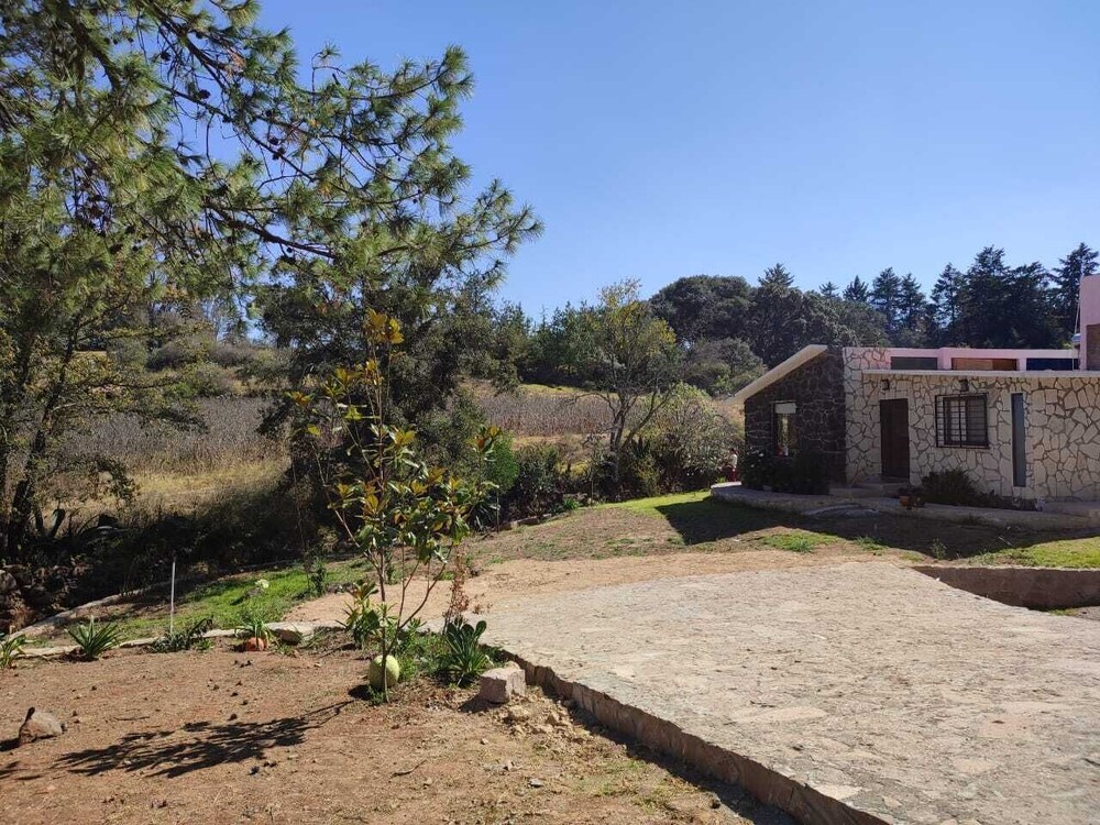 Finca Mayorga