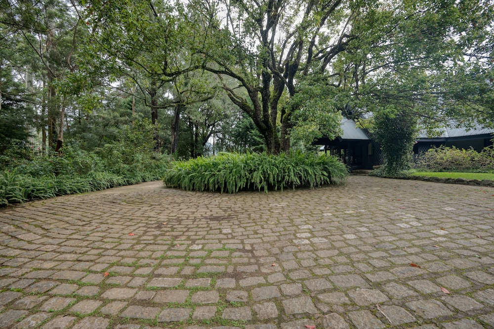 Ferncliff Bungalow