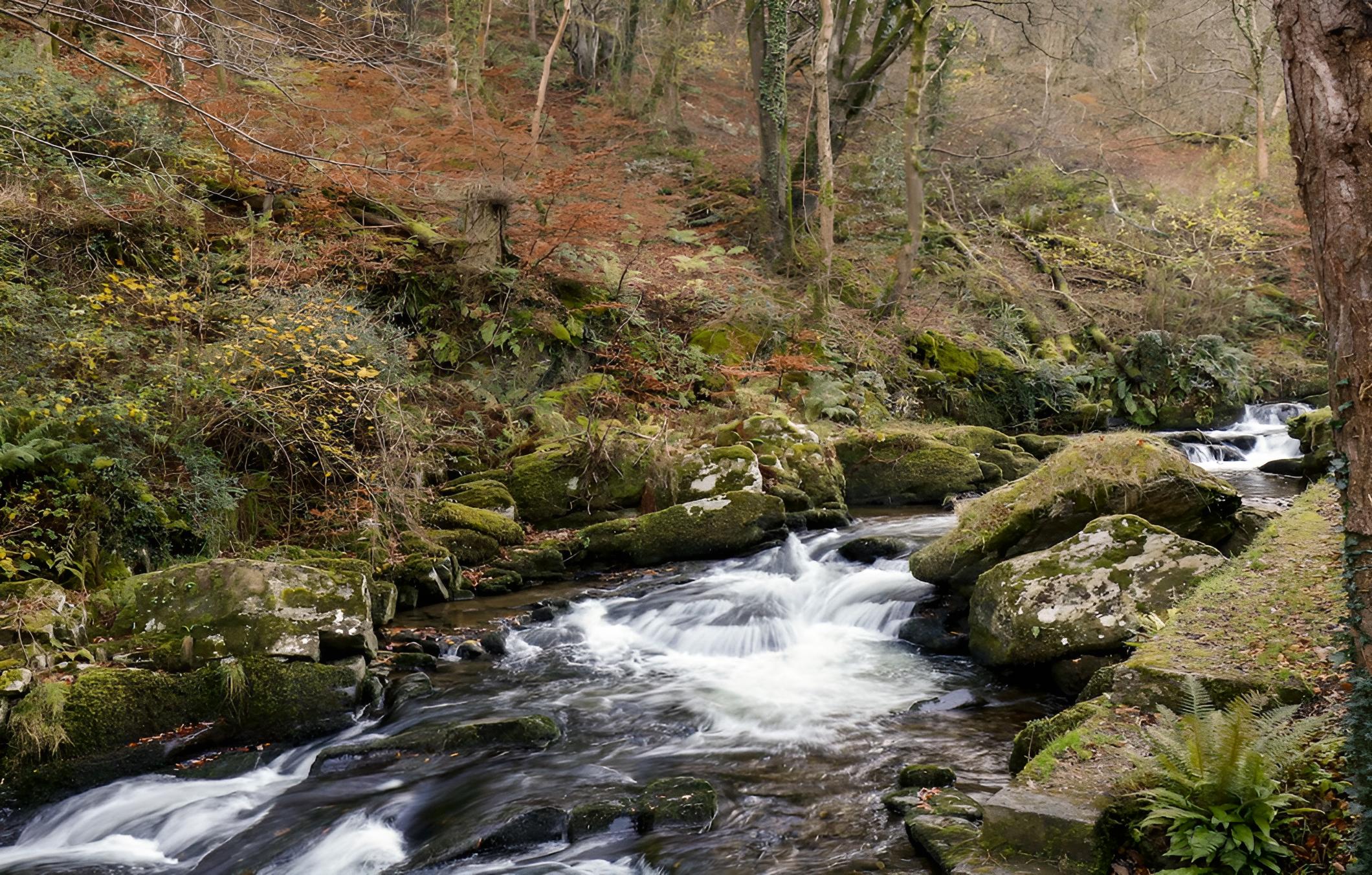 Lynton Vacations - 22 Two Little Ducks - Property Image 8