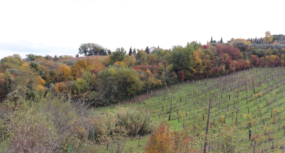 Agriturismo La casella
