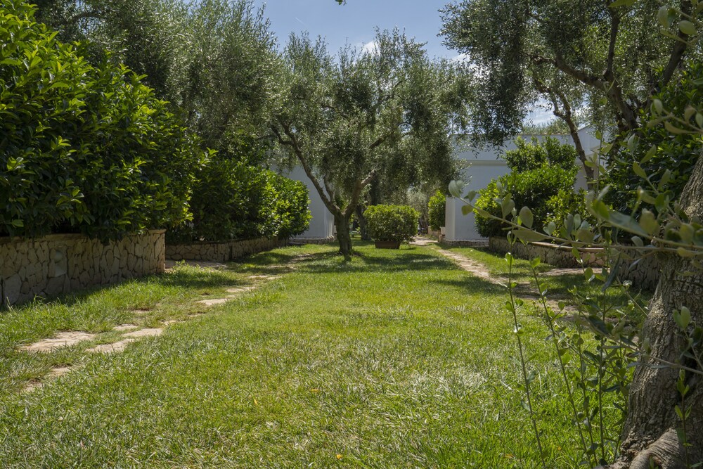 Photo 27