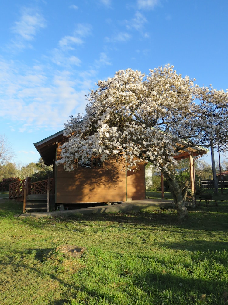 Quintre Lodge view 4