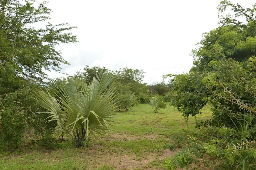 Photo 26