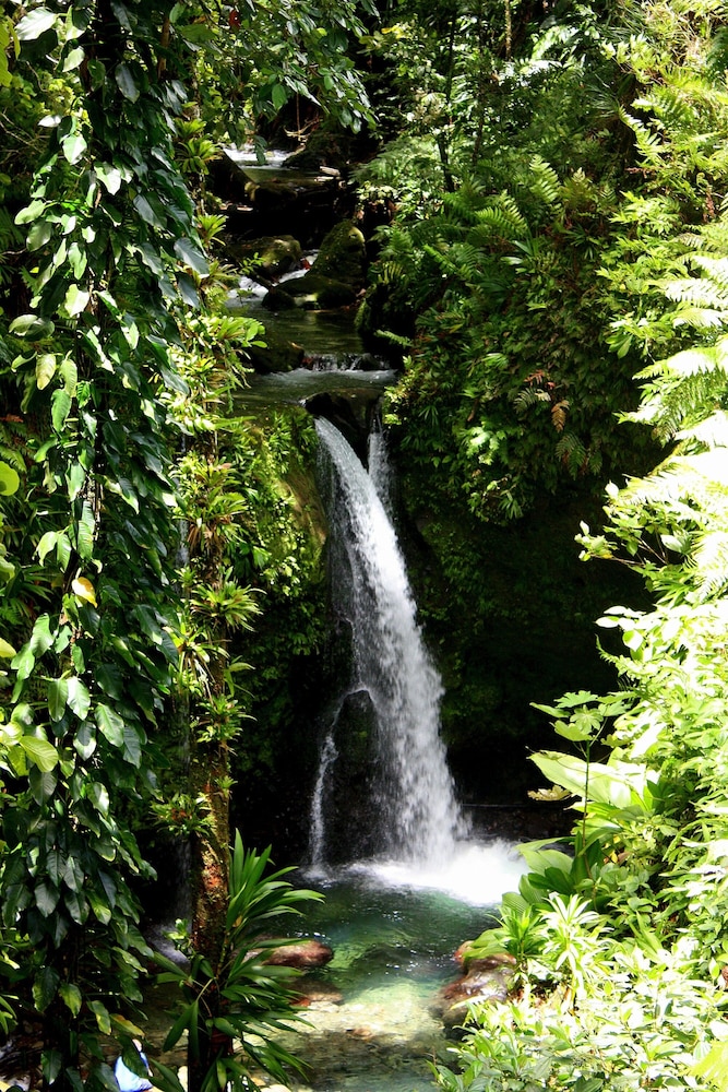 Hibiscus Valley Inn