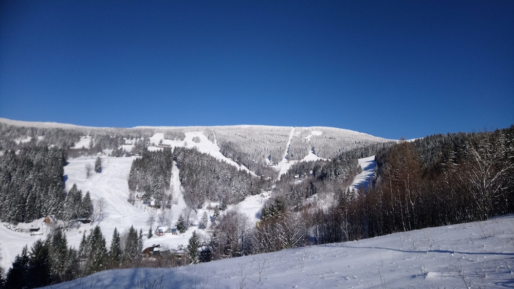 Villa Near Horni Domky Ski Resort