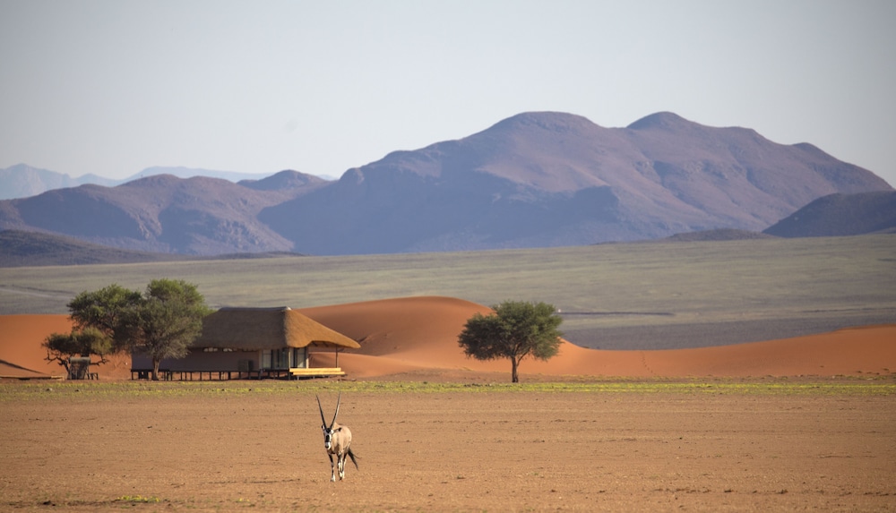 Kwessi Dunes view 2