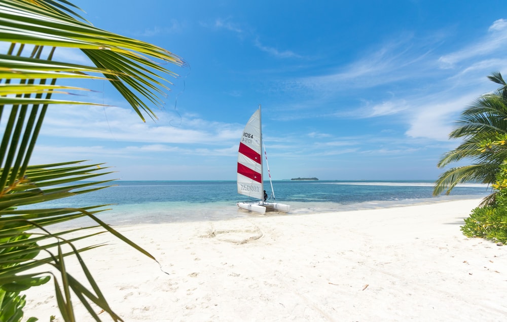 Olive Goidhoo