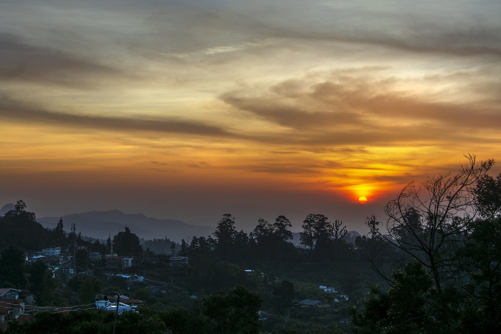 Wunderhaus Atists's Getaway and Homestay