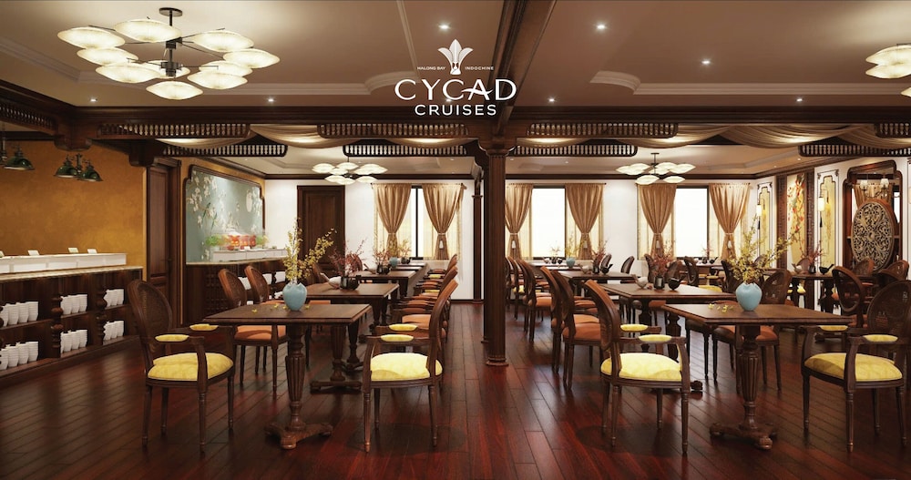 Cycad Cruise