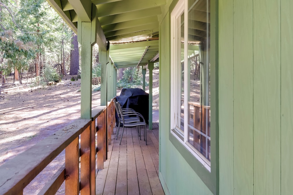 Stay Near Big Trees, Bring Your Pets: Arnold Cabin
