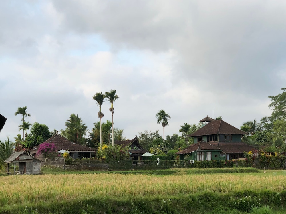 Devi's Place