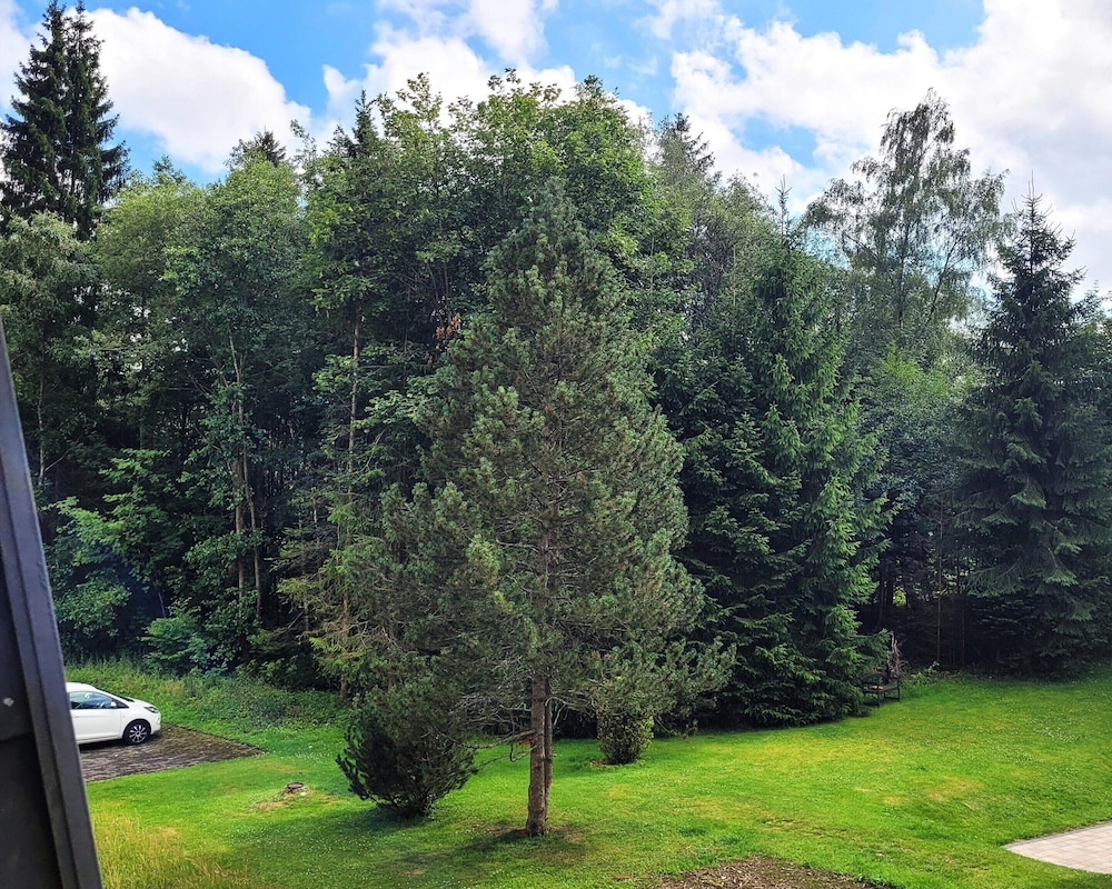 Apartment in Winterberg Near Golf & Ski Lift