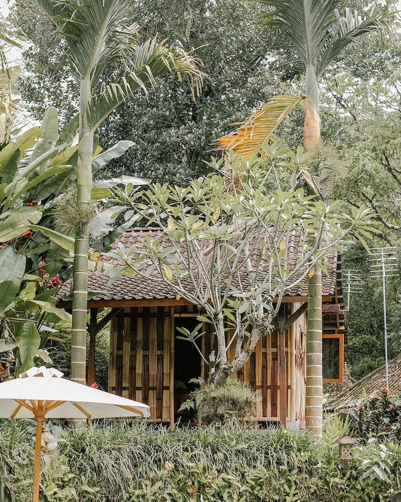 Song Broek Jungle Resort