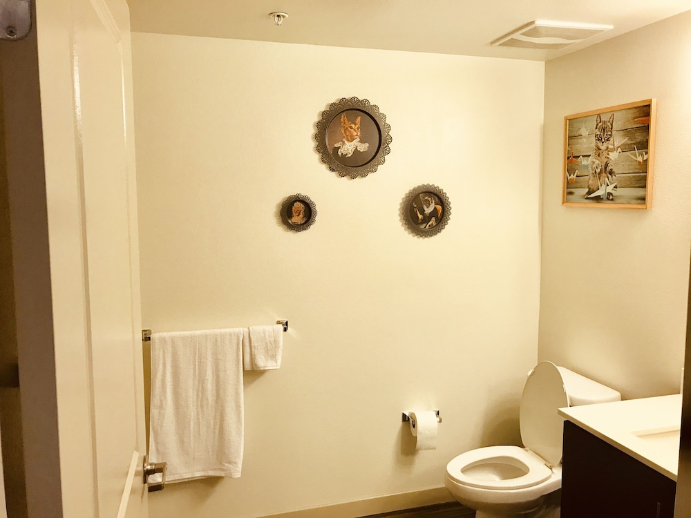 New Lyfe Finest Luxury Apartment