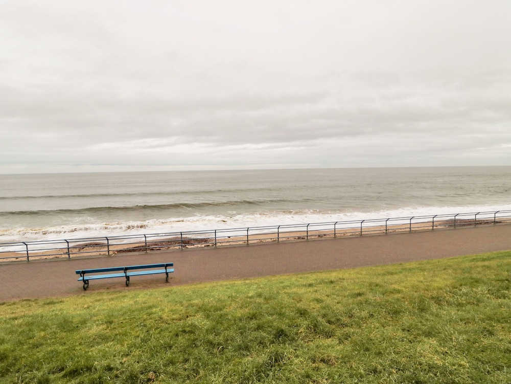 Sea Snug