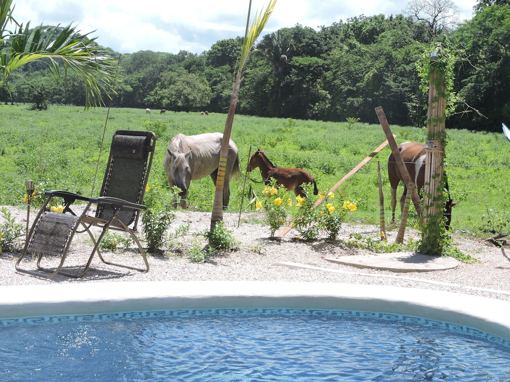 Guanacaste - Costa Rica Vacations - Las Perlitas Boutique Hotel - Property Image 4