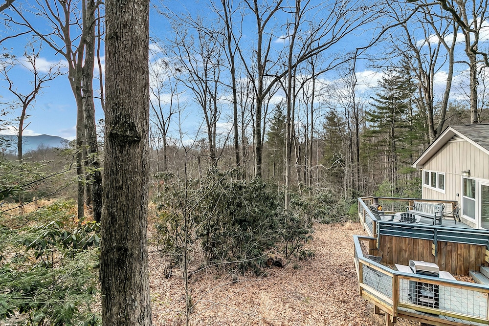Black Mountain Treehouse