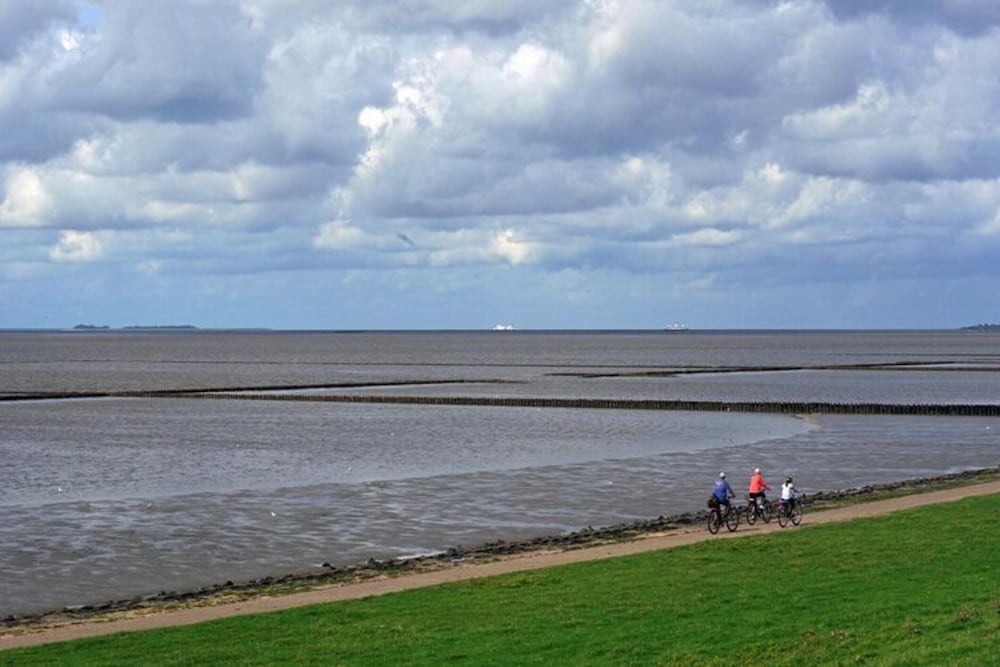 Haus in Niebull Nahe Wattenmeer
