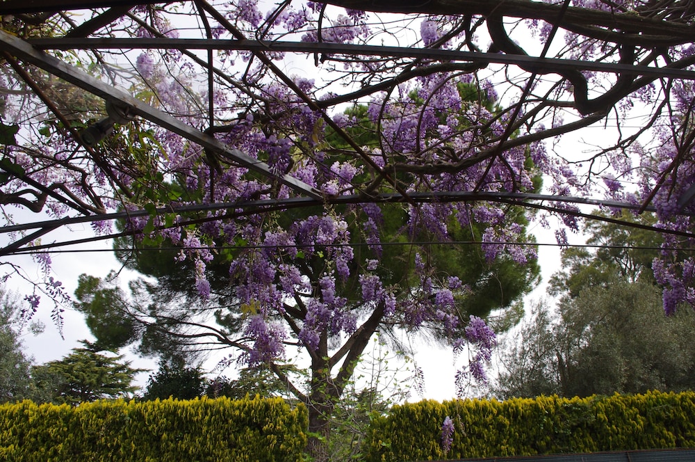 Photo 49