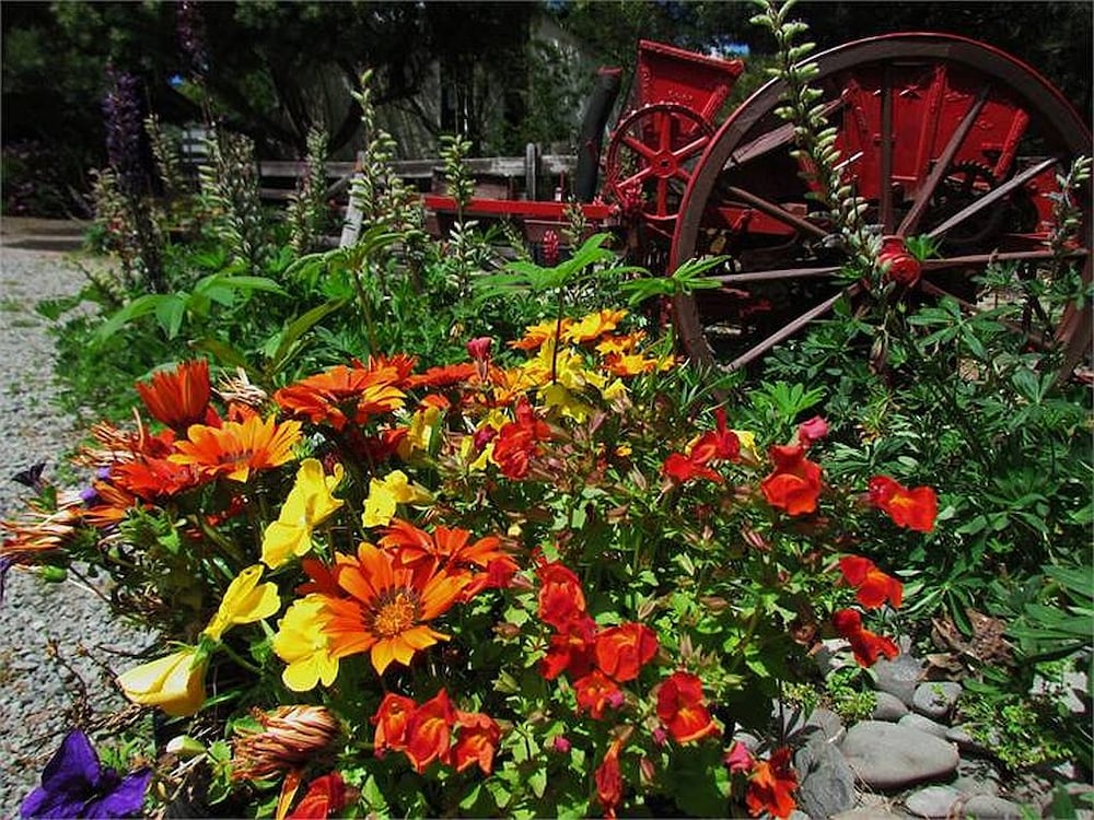 Christchurch City & Country Cottages - Nut Point Cottage