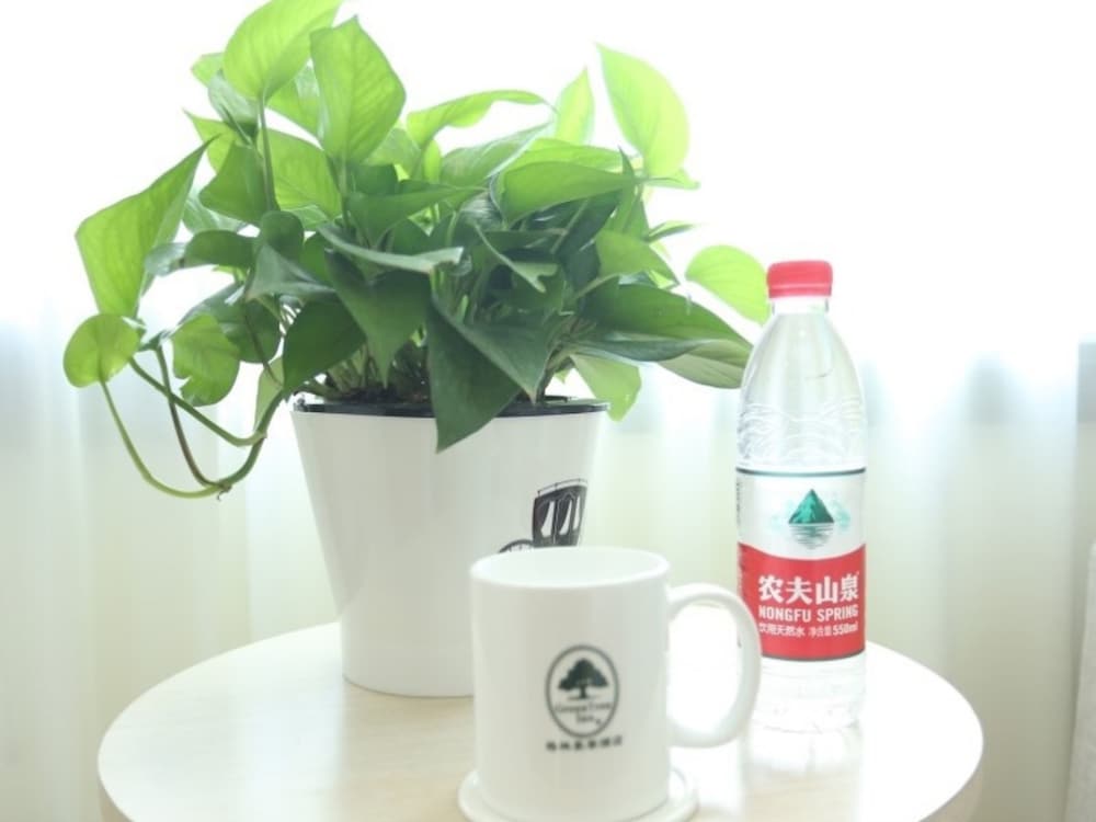 Beijing Vacations - GreenTree Inn Beijing Chaoyang District Maquanying Subway Station Express Hotel - Property Image 9