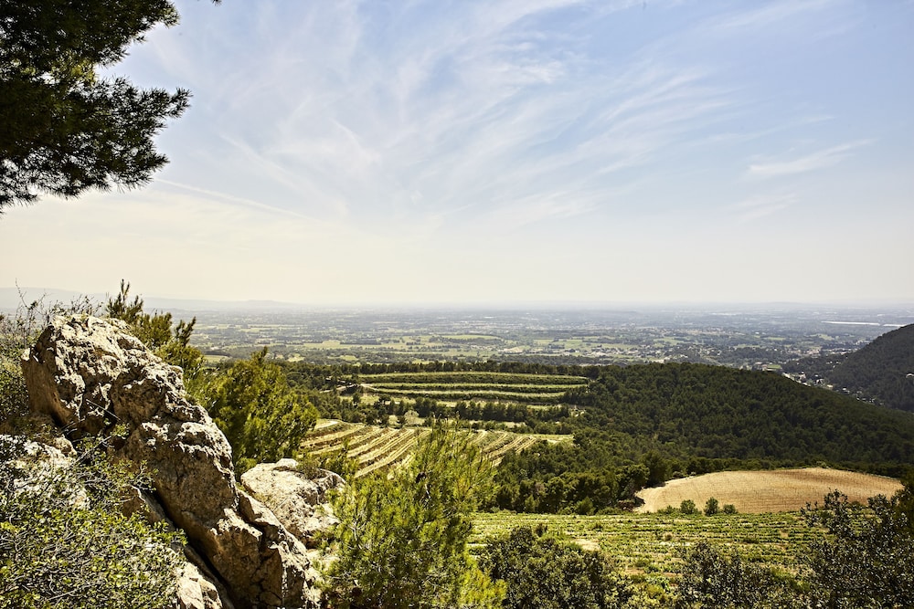 Mas de la Baume