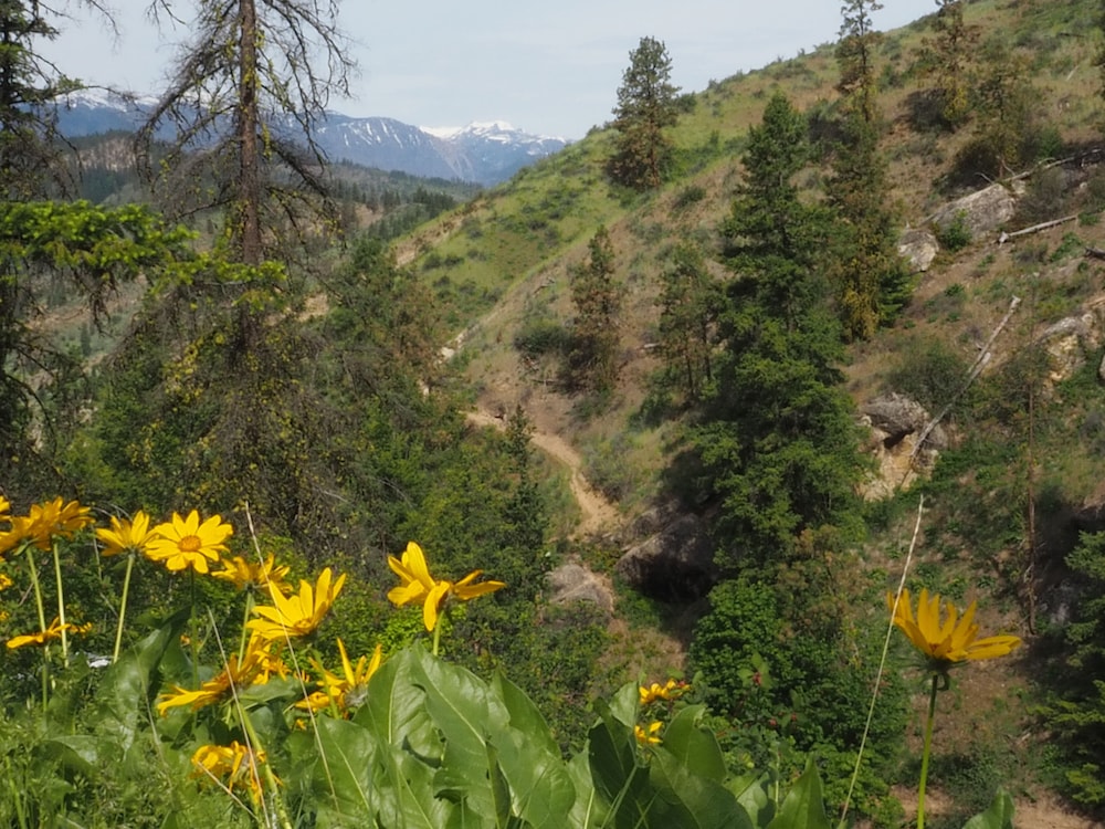 Cascade Valley Inn