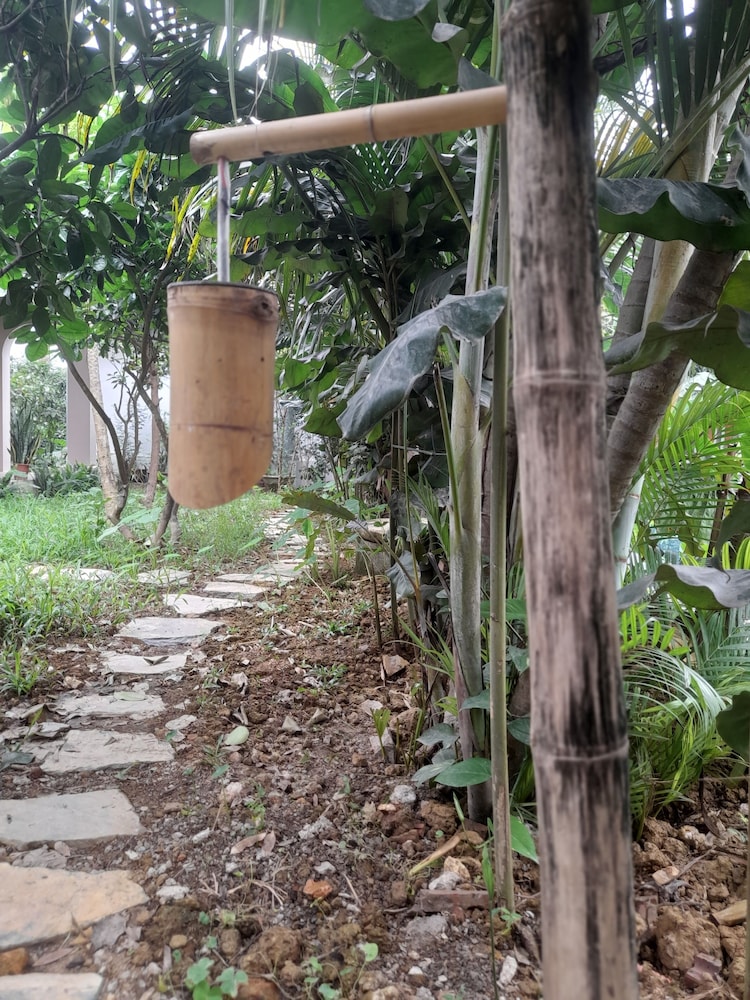 Photo 27