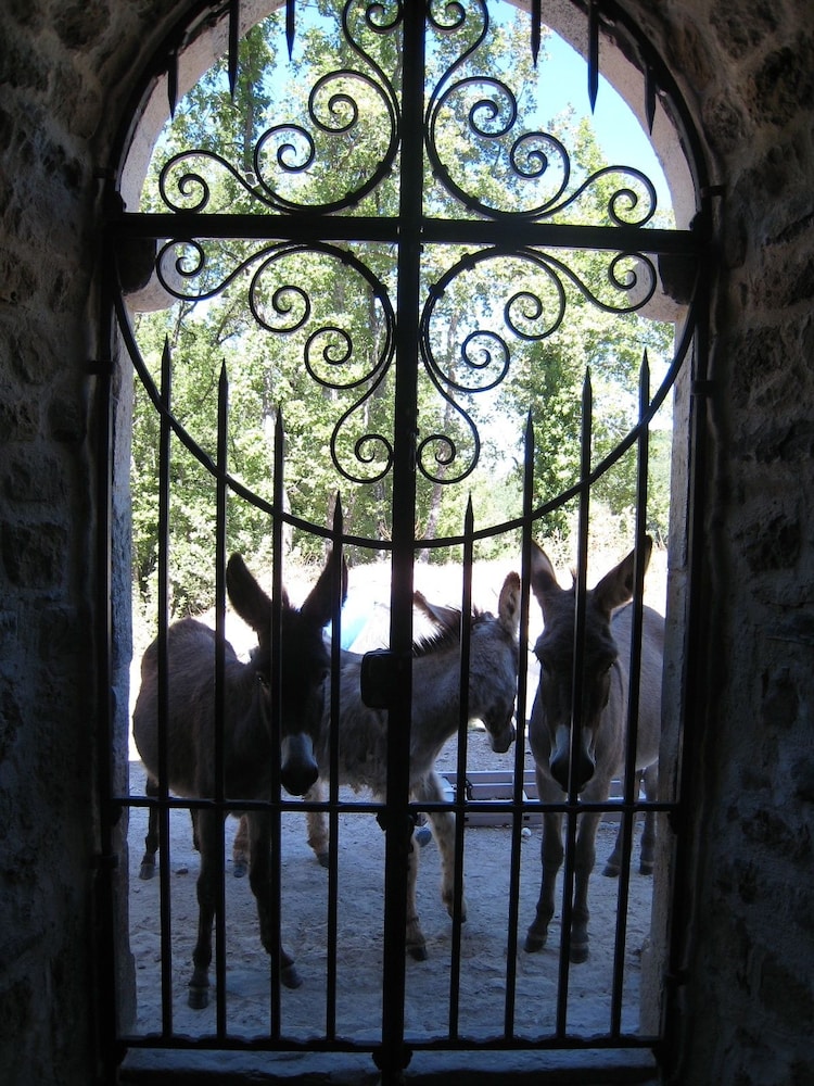 Une Campagne en Provence
