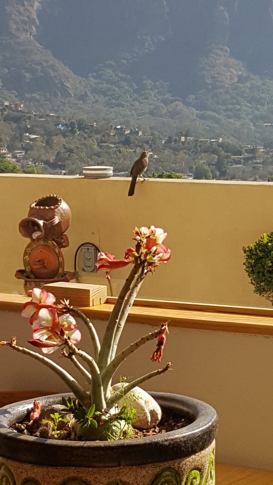 Casa Cumbre, photo 43
