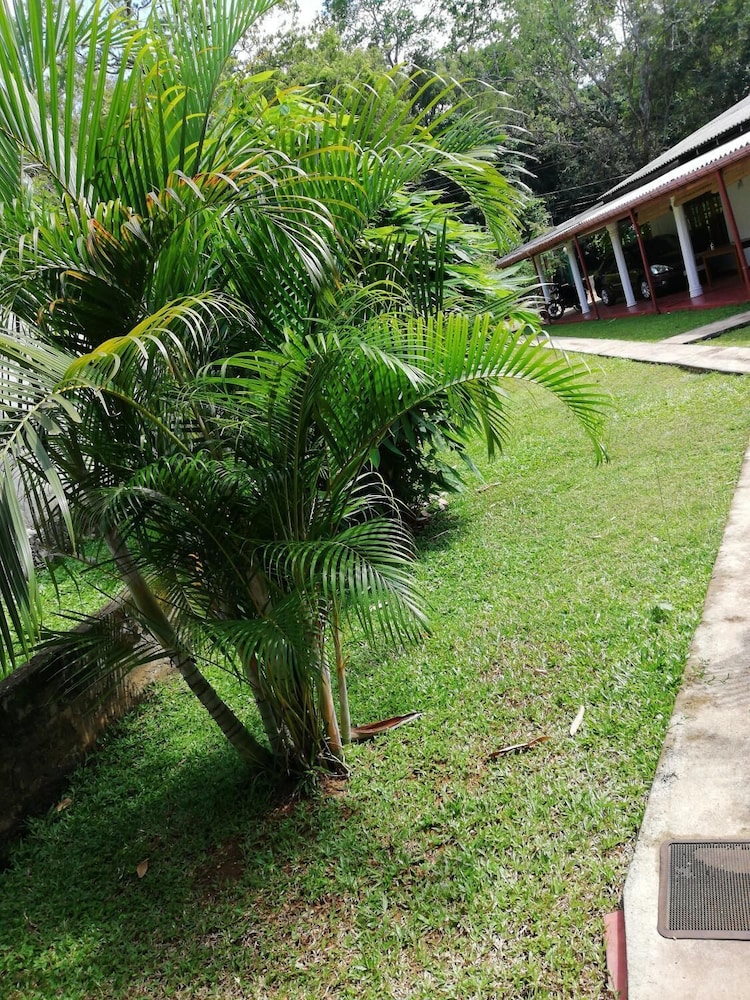 Lal HomeStay