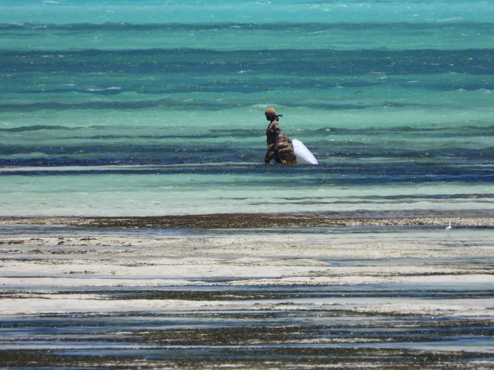 ZANZIBAR MAREA Luxury Villas