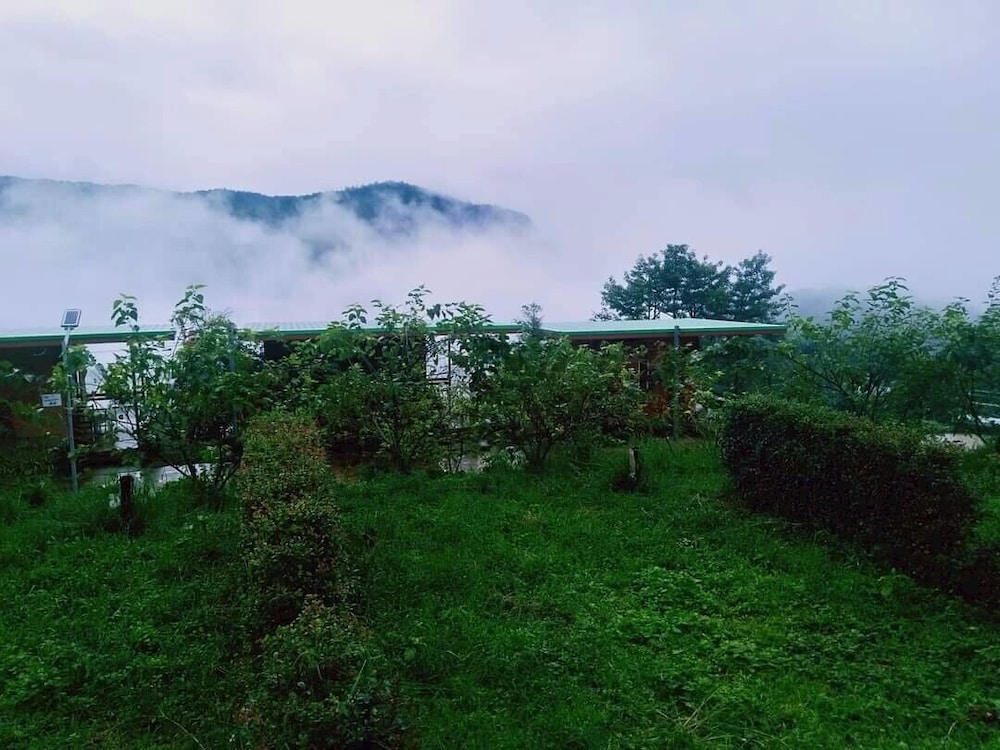 Doymoktawanview