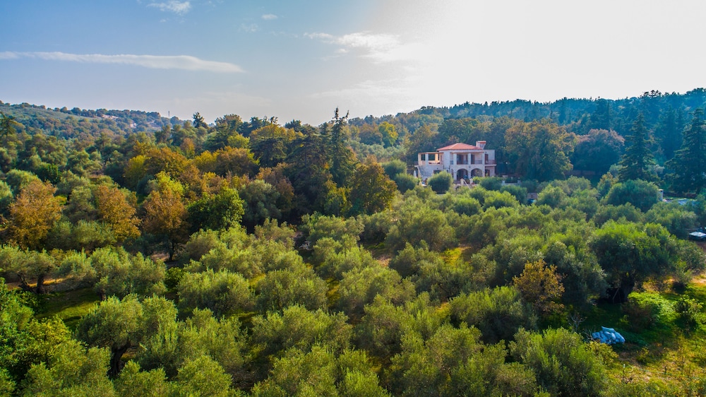 Vederi Estate